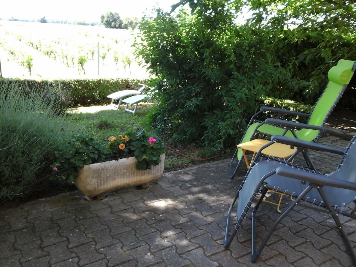 Sainte-Cécile-les-Vignes Vents D'Anges Bed & Breakfast エクステリア 写真